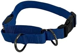 Light-Up Martingale Training Adjustable Dog Puppy Collar - REMIPET - Waterproof, LED Illuminated, USB Rechargeable, Reflective Safety, Durable, Nylon, Gift (Blue, Medium)