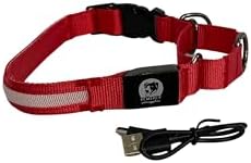 Light-Up Martingale Training Adjustable Dog Puppy Collar - REMIPET - Waterproof, LED Illuminated, USB Rechargeable, Reflective Safety, Durable, Nylon, Gift (Red, Medium)