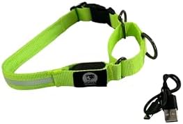 Light-Up Martingale Training Adjustable Dog Puppy Collar - REMIPET - Waterproof, LED Illuminated, USB Rechargeable, Reflective Safety, Durable, Nylon, Gift (Green, Medium)
