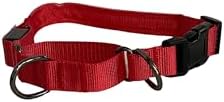 Light-Up Martingale Training Adjustable Dog Puppy Collar - REMIPET - Waterproof, LED Illuminated, USB Rechargeable, Reflective Safety, Durable, Nylon, Gift (Red, Medium)