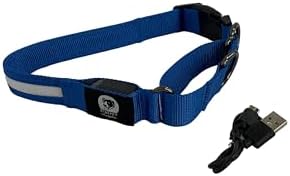 Light-Up Martingale Training Adjustable Dog Puppy Collar - REMIPET - Waterproof, LED Illuminated, USB Rechargeable, Reflective Safety, Durable, Nylon, Gift (Blue, Large)