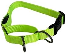 Light-Up Martingale Training Adjustable Dog Puppy Collar - REMIPET - Waterproof, LED Illuminated, USB Rechargeable, Reflective Safety, Durable, Nylon, Gift (Green, Large)