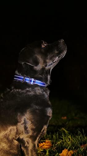 Reflective Dog Collar, Quick-Release Buckle (Light Blue, 18-26 Inch)