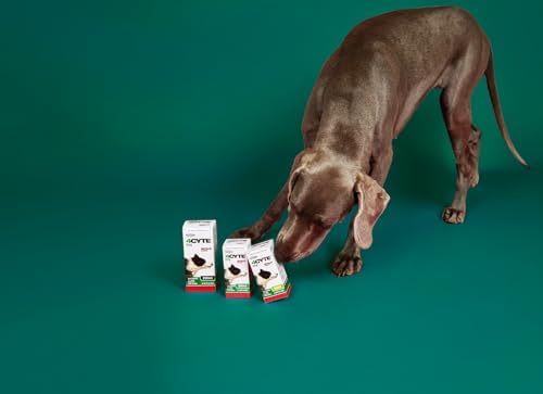 4CYTE Epiitalis Forte Dog Joint Supplement Gel – Mobility, Flexibility & Cartilage Support