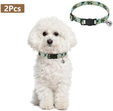 Tropical Toucans Easy to Clean Dog Collar 2 Pack Dog Collars for Small Dogs