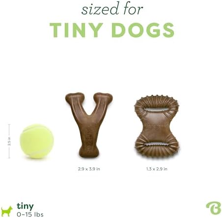 Benebone Tiny 2-Pack Dog Chew Toys, Real Bacon