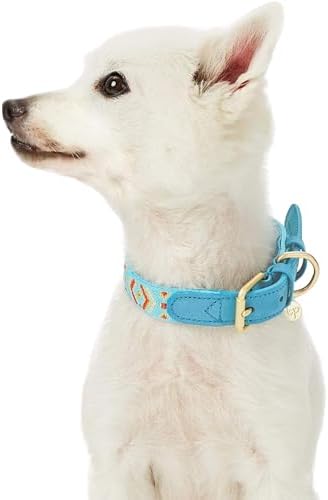Blueberry Pet 3 Patterns Southwestern Magical Tribal Print Genuine Leather & Polyester Fabric Combo Dog Collar with Metal Buckle - Celeste Blue, Medium, Neck 15"-18"