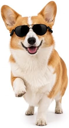 G010 Dog pet Costume Aviator Sunglasses for Medium Breeds 20-40 lbs (Black)