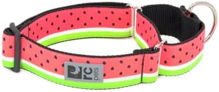 RC Pets 1-1/2 Inch All Webbing Martingale Training Dog Collar, Large, Watermelon