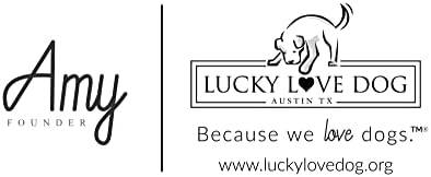 Lucky Love Dog Martingale Collar for Large Dogs No Slip Cute – Nacho, Large