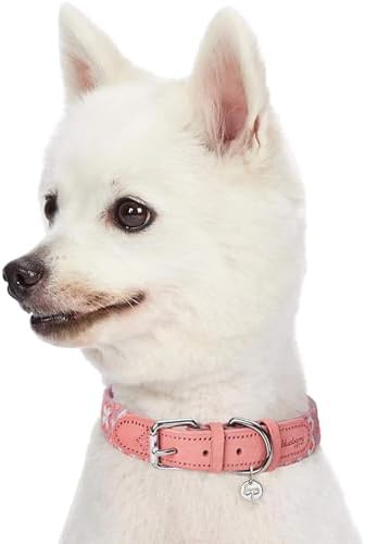Blueberry Pet 3 Patterns Southwestern Modern Tribal Print Genuine Leather & Polyester Fabric Combo Dog Collar with Metal Buckle - Thistle Braided, Small, Neck 12"-15"