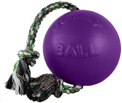 Jolly Pets Romp-N-Roll Rope & Ball Dog Toy, 4.5 in Small, Orange