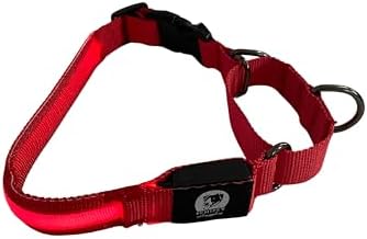 Light-Up Martingale Training Adjustable Dog Puppy Collar - REMIPET - Waterproof, LED Illuminated, USB Rechargeable, Reflective Safety, Durable, Nylon, Gift (Red, Medium)