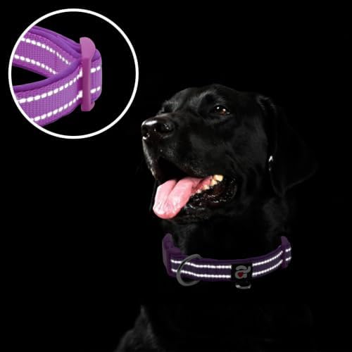 azuza Reflective Dog Collar, Neoprene Padded Medium Dog Collar, Purple, M