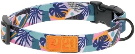 RC Pets Eco Clip Collar | Adjustable, Durable, Earth-Friendly | Medium, 1-Inch, Mystic Monstera