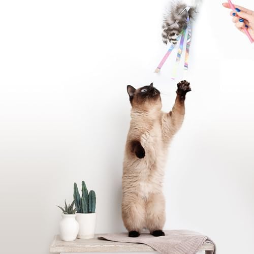 Hokaad Cat Insect Feather Toys - Feather Wand & 6 Natural Insect Refills - Interactive Cat Teaser with Bell