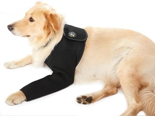 Coodeo Dog Recovery Suit, Cone Collar Alternative, Abrasion Resistant Dog Recovery Sleeve, Washable 2.5mm Thick and Waterproof, Pet Wounds Prevent Licking, Bite, Keep Dry (Black, M)