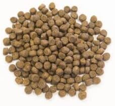 Muenster Grain Free Salmon Dry Dog Food, 4lb - Gluten-Free, High Protein, All Life Stages