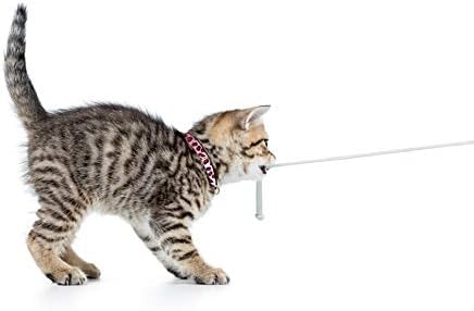 Max & Molly Fun & Whimsy Cat Collar w/Jingle Bell, Breakaway Safety Buckle, Adjustable Sizing & Smart ID Personalized Tag for Girl or Boy Cats/Kittens, Vintage Green Chevron