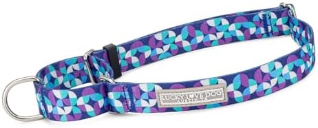 Lucky Love Dog Martingale Collar & Leash Set No Slip Cute – Jasper, Small