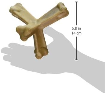 N-Bone Nbone 115097 Quado in Pumpkin, Large (575174)