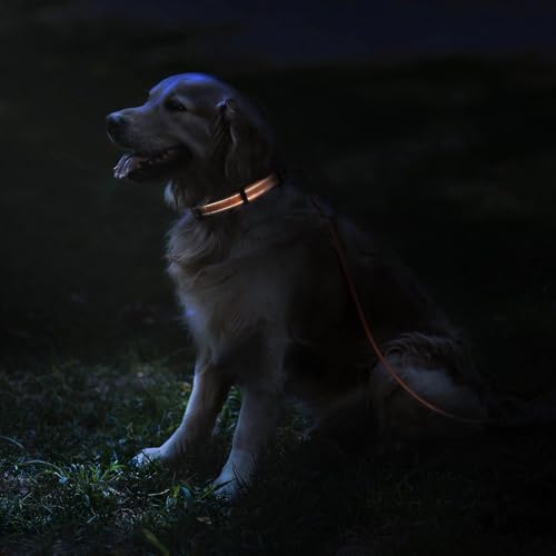 Reflective Dog Collar, Quick-Release Buckle (Orange, 7-11 Inch (New))