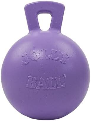 Jolly Pets Tug-n-Toss Heavy Duty Dog Toy Ball with Handle, 8 Inches/Large, Light Purple
