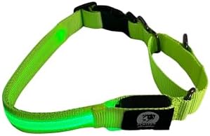 Light-Up Martingale Training Adjustable Dog Puppy Collar - REMIPET - Waterproof, LED Illuminated, USB Rechargeable, Reflective Safety, Durable, Nylon, Gift (Green, Large)