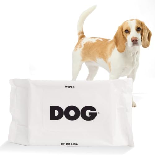 DOG by Dr Lisa - Dog Travel Wipes - Plant-Based - Natural Bathing Wipes for Dogs - Made from 100% Compostable Bamboo - Vet-Created - Vegan - Non-Toxic - Travel Size - Carton (20 per Box)