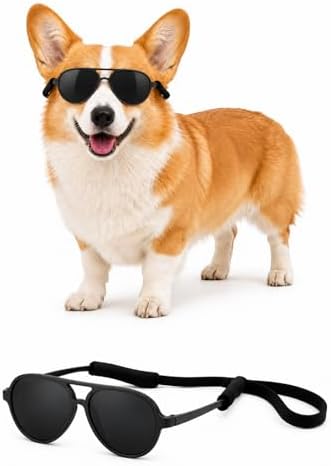 G010 Dog Pet Costume Aviator Sunglasses for Medium Breeds 18-40 lbs (2-Pack Black + Matte Black, uv400)