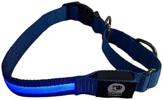 Light-Up Martingale Training Adjustable Dog Puppy Collar - REMIPET - Waterproof, LED Illuminated, USB Rechargeable, Reflective Safety, Durable, Nylon, Gift (Blue, Large)