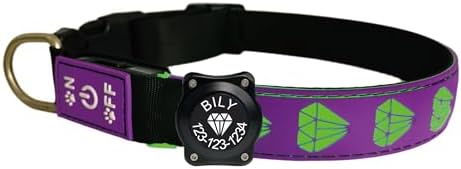 Personalized Dog Collar Waterproof airtag Dog tag Holder,USB C Light up Night Black Dog Collar (Purple, S(7.87-11.8"))