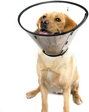 Smart Collar (Size 4) (May Vary)