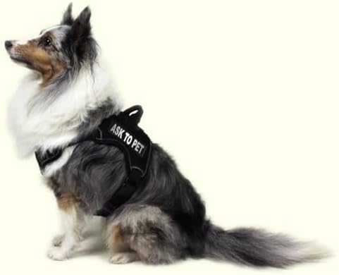 Dogline Ask to Pet Vest Patches – Removable Ask to Pet Patch 2-Pack with Reflective Printed Letters for Support Dog Vest Harness Collar or Leash Size B (1.5" x 4")