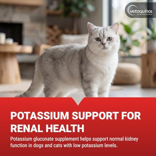 Vetoquinol Renal K - Potassium Supplement for Dogs & Cats - Supports Managing Potassium Levels - Palatable Gel with Maple Flavor - 5oz