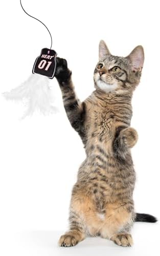 Pets First NBA Miami Heat Team Jersey Wand with CAT NIP, Cat Toy Jersey Shaped Plush Teaser Toy for Cats & Kittens - Interactive Pet Toy for Play & Exercise