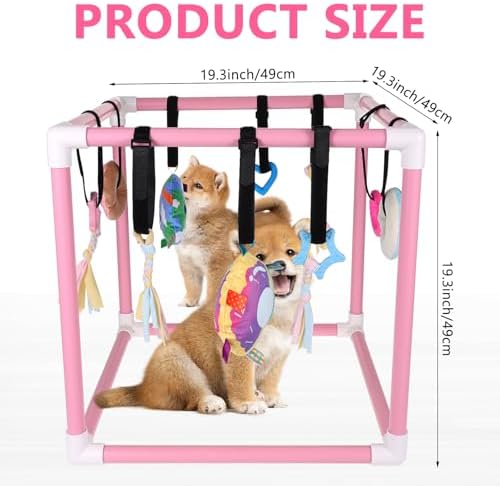 Puppy Play Gym with 10 Hanging Toys for Small Dogs Indoor Jungle Playground PVC Frame with Interactive Funny Enrichment Toys Dogs Activity Center Durable, Lightweight