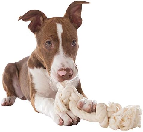 Mammoth Pet Products Dog Flossy Chews 100-Percent Cotton White Rope Bone, Medium, 12-Inch (10004V), All Breed Sizes