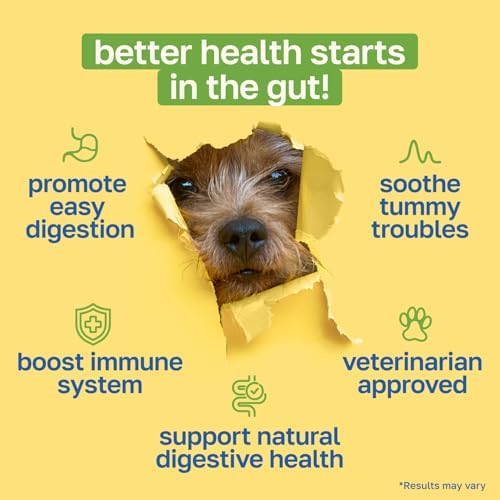 Happy Paws Digestive Support Supplement & Probiotics, 200 Chews