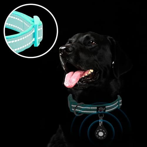 azuza Airtag Dog Collar, Medium Dog Collar with Airtag Holder, Teal, M