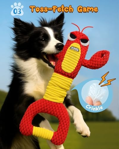 Swooflia Tug of War Dog Toy-Squeaky Plush Tug a War Dog Toy for Medium Large Breed Dogs to Keep Them Busy, Interactive Crinkle Doggie Toy, Cute Lobster with Soft Long Pull Handle