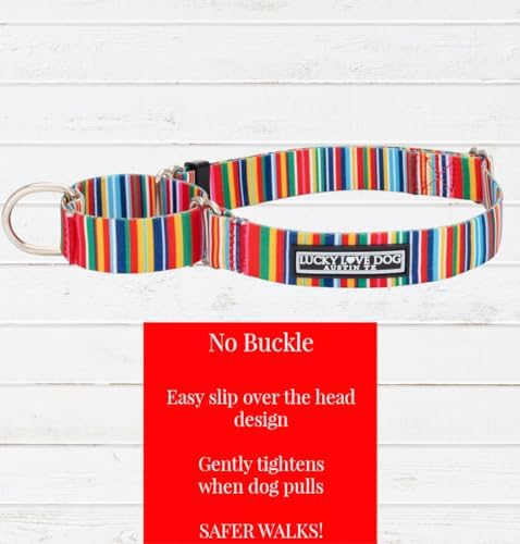 Lucky Love Dog Martingale Collar & Leash Set No Slip Cute – Hippie, Medium