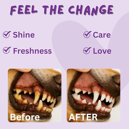 Dog & Cat Dental Finger Wipes, Fresh Breath, No Rinse, 100 Count