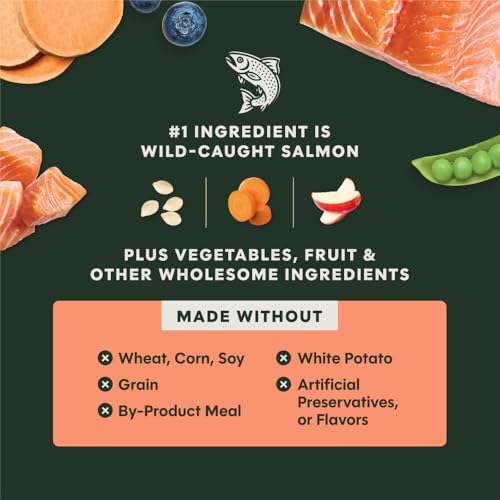 Instinct Raw Boost, Natural Dry Dog Food with Freeze Dried Pieces, High Protein, Grain Free Recipe - Real Salmon, 19 lb. Bag