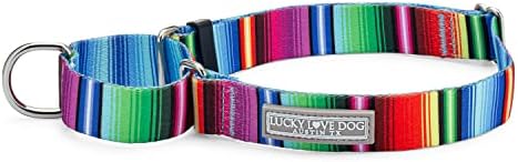 Lucky Love Dog Martingale Collar for Large Dogs No Slip Cute – Nacho, Large