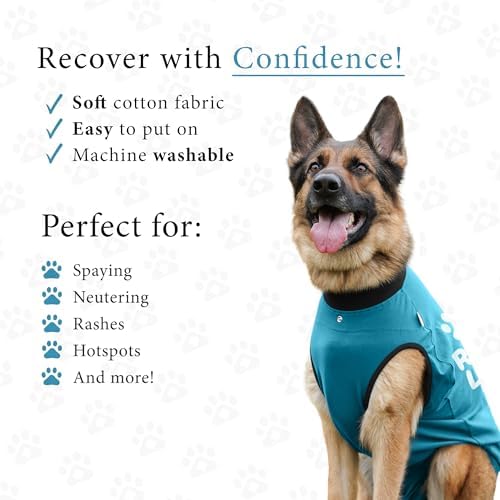 BellyGuard Dog Surgery Recovery Suit, Male Female After Spay Neuter Onesie