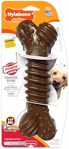 Nylabone Power Chew Dental Groove Bone Dog Chew Toy, Flavor Medley, X-Large