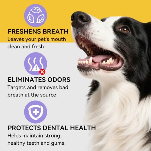 Pet Dental Finger Wipes, Hypoallergenic, Rinse-Free, Thick Dual-Textured Mouth Cleaning Wipes Effective Teeth Cleaner for Dogs & Cats(50pcs, Unscented)