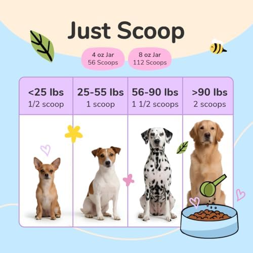 kin+kind Organic Turmeric Hip and Joint Supplement for Dogs and Cats – Supports Healthy Joint Mobility and Inflammatory Response – Vet Formulated – 3x8 oz