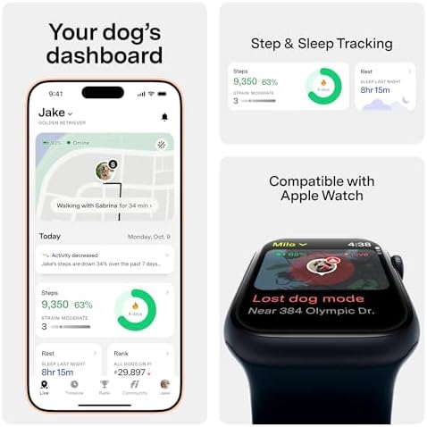 Fi Series 3+ Dog GPS Collar, Small Yellow Dog Tracker, 12 Months Included | Live 24/7 location updates, escape alerts, activity and sleep insights, waterproof steel build, LED night light